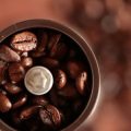 The Complete Guide to Single-Origin Coffee from Latin America