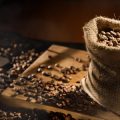 The History and Evolution of Shade-Grown Coffee in Major Origins