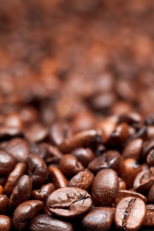 A Local’s Guide to Ethical and Sustainable Coffee Houses in London