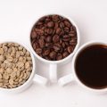 Top British Favourites: Comparing Popular Manual and Electric Brewers on the Market
