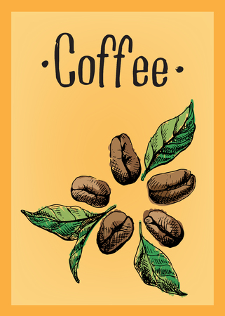 Coffee Alchemists: Meet the British Innovators
