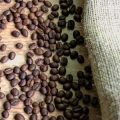 From Farm to Cup: How Origin Shapes Coffee Tasting Notes for British Palates