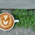 Sustainable Sips: Eco-Friendly Coffee Havens in the Cornish Countryside
