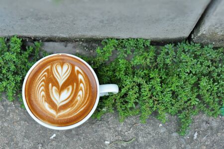 Sustainable Sips: Eco-Friendly Coffee Havens in the Cornish Countryside