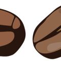 A Guide to the UK’s Favourite Seasonal Coffee Beans