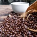 Soil Health and Coffee Quality: Farming Methods That British Baristas Value
