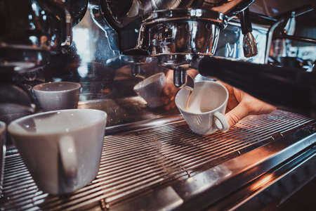 Enhancing Your French Press Experience with Locally Sourced UK Coffees