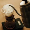 A Step-by-Step Guide to Brewing Your First Cup with a Cafetière (French Press)