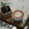 Exploring Single-Origin Coffees from Asia and the Pacific: A British Perspective