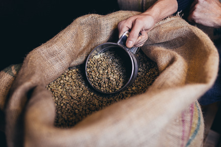 Britain’s Rustic Retreats: Unique Farmhouse Cafés Serving Specialty Coffee