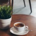 Plant-Based Coffee in the UK: The Ultimate Guide to Alternative Milks and Latte Art