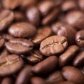 Spotlight on Local Producers: Farmers & Ethical Sourcing at UK Coffee Events