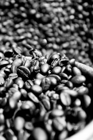 The Evolution of Coffee Grinders in the UK: Burr vs Blade Through the Ages