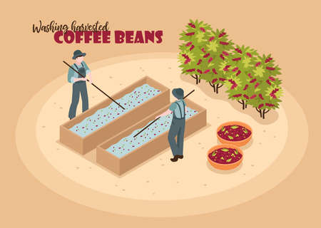 The Impact on Coffee Sourcing and Roasting