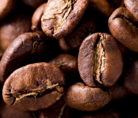 Honest Beans: Organic and Fair Trade Coffee in Shropshire’s Hidden Cafés