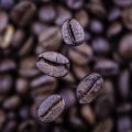 The Effect of Hard Water and Humidity on Coffee Storage in the UK